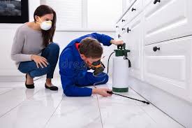 Best Emergency Pest Control  in Alamae, NC